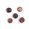 Five of our most delicious handmade Milk and Dark Nuts Chocolates, promising an irresistible taste experience. Explore our premium selection of nut chocolates for a truly delightful treat.