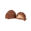 Rootbeer Chocolate Brain